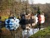 Cluster of Boats